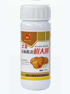 土豆抗病防裂膨大剂