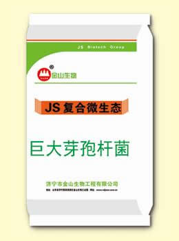 巨大芽孢杆菌