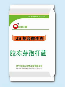 胶栋样芽孢杆菌